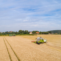 dji b neucalenberg dji b neucalenberg