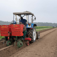 neucalenberg kartoffeln 2021 neucalenberg kartoffeln 2021