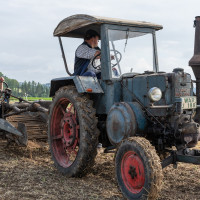 neuclbg kartoffeln 2021 neuclbg kartoffeln 2021